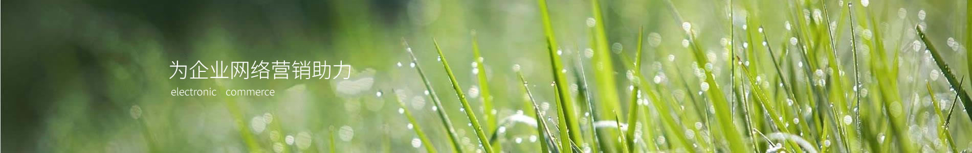 ݲŻʢҺѹƼ޹˾